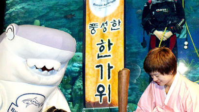 [사진] 수족관에도 보름달