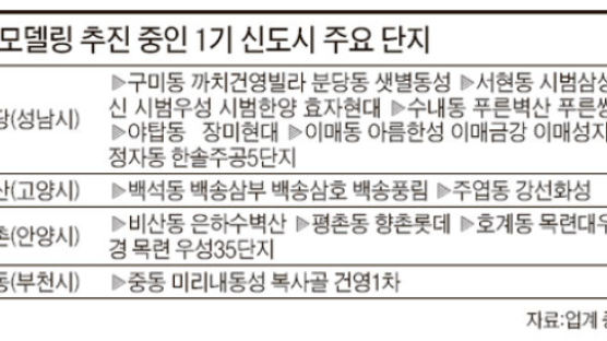[REALESTATE] ‘열다섯 살’ 1기 신도시 리모델링 내년 본격화