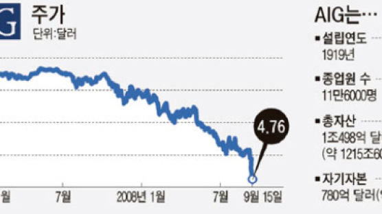 벼랑 끝 AIG, 750억 달러 ‘급전 구함’