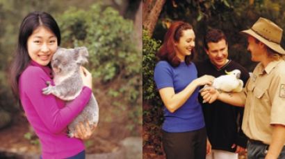 드림월드에서 진정한 호주를 만나다 … 호주 동물 프레젠테이션