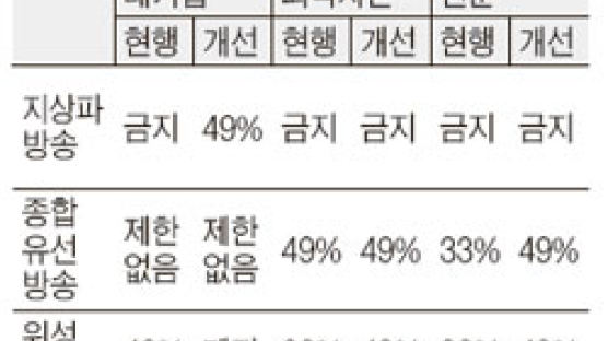 신문사, 위성방송 지분 49%까지 허용