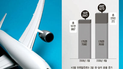 항공권 유류할증료 ‘엉뚱한 주머니’로