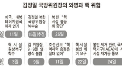 ‘병상 통치’ 김정일의 일석이조 핵카드