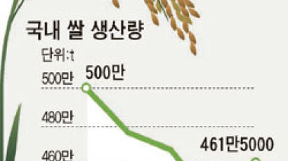 쌀 생산량 4.7% 증가 … 비축미 수매 늘린다