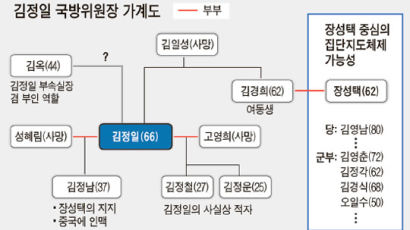 포스트 김정일 … 세습이냐 집단지도체제냐