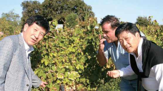 미래 소믈리에들 프랑스서 ‘한국 와인’ 만든다
