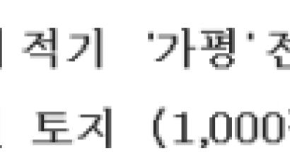 [재테크특집］수도권'가평'전원토지필지매각8,900원/㎡