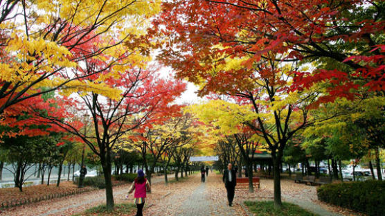 [사진] 낙엽을 밟으며 …