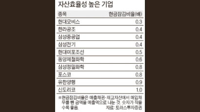 상장사 ‘현금잠김비율’ 살펴라