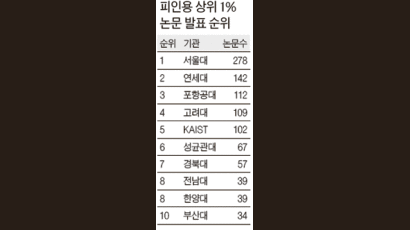 피인용 상위 1% 과학논문 10년 전보다 6.7배 늘어나