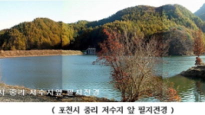 부동산포커스 - 경기도 '포천시' 호수마을 전원토지 11,900원/㎡ 매각공고