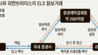 ‘리먼 담보채권’2000억 회수 속앓이
