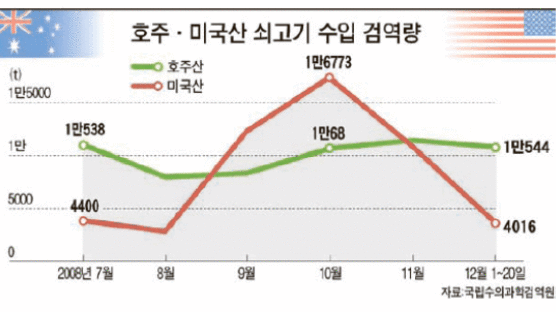 미국산 쇠고기 인기 주춤 … 호주산과 각축