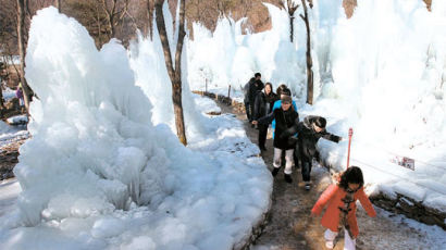 [사진] 산림욕장에 얼음동산