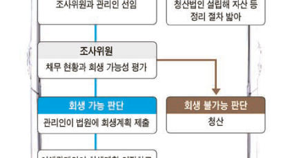 쌍용차 법정관리 신청 앞으로 절차는 …