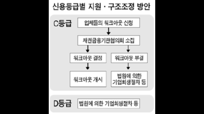 ‘D등급’ 대주건설·C&중공업 어떻게 되나