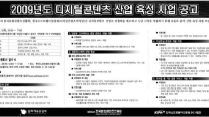 2009 디지털콘텐츠 산업 육성 사업 공고