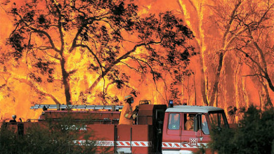 호주 사상 최악의 산불 … 사망자 100명 육박