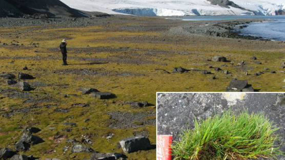 [Save Earth Save Us] 따뜻해진 남극 세종기지 주변에 풀밭이 …