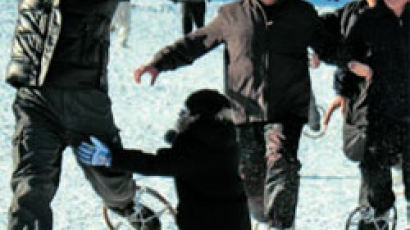 밸런타인데이 ‘환상의 커플’ 뽑기…평창선 산악스키·눈썰매 대회 열려