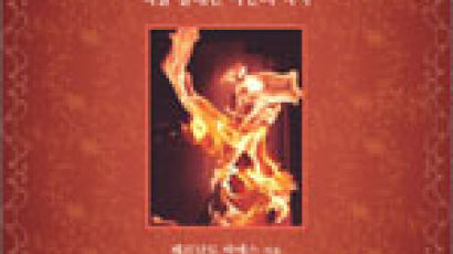 [BOOK북카페] “책을 불태워라” 주동자는 지식인