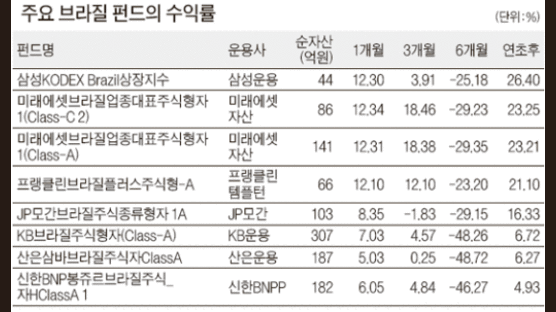 올 들어 20%대 수익 … 브라질 펀드‘브라보’