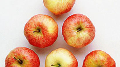 사과 하루 6개 먹으면 유방암 4분의 1로 감소