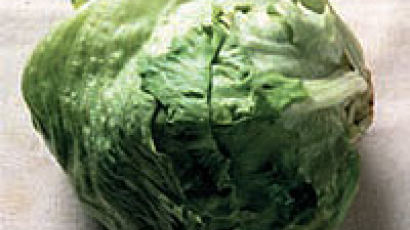 [장바구니 리포트/양상추] 짙은 녹색 잎일수록 고급품