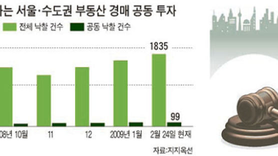 적은 돈 모아 큰 투자 … 인기 끄는 공동 경매