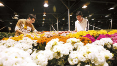 세계시장에 핀 고성장의 꽃