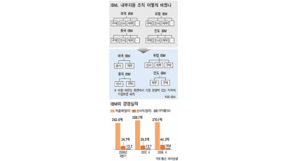 한국 대기업 ‘IBM 다이어트 배우자’