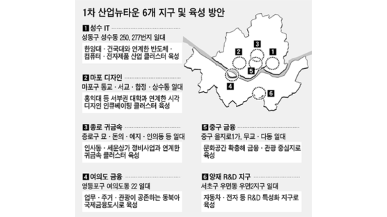 마포-디자인, 성수-IT … 서울 산업뉴타운 30곳 지정