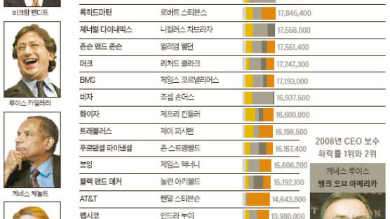 뉴스 인 뉴스 2008 미국 CEO 연봉 살펴보니