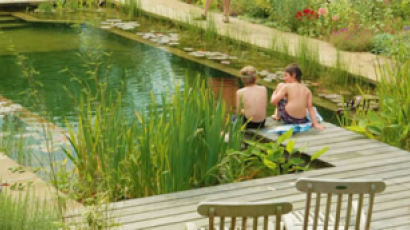 [녹색然금술사 28] 낚시까지 즐기는 '생태 수영장(Natural pool)'