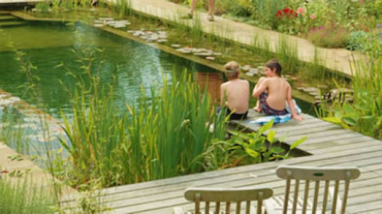 [녹색然금술사 28] 낚시까지 즐기는 '생태 수영장(Natural pool)'
