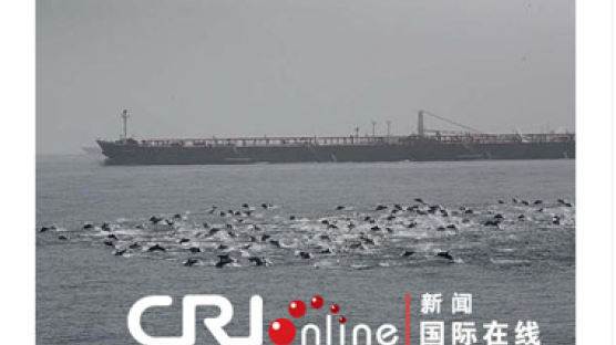 [사진] 수천 마리 돌고래가 소말리아 해적들 막았다?