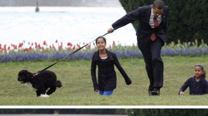 [사진] 강아지에 끌려다니는 오바마