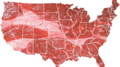미국산 쇠고기, 시장 점유율 33% … ‘반짝 1위’도