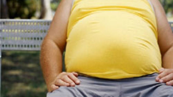 아무도 가르쳐 주지 않는 비만에 대한 10가지 비밀