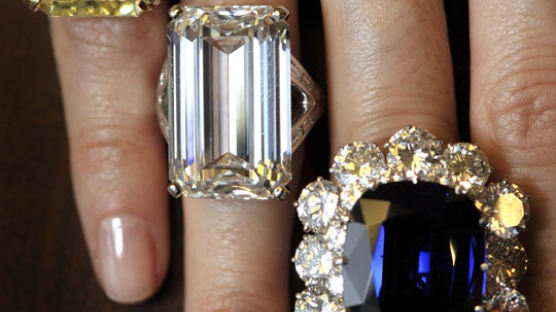 [사진] 가장 비싼 다이아몬드는?