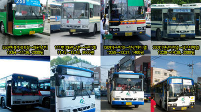 부산에서 서울까지 시내버스만 21번 갈아탄 대학생