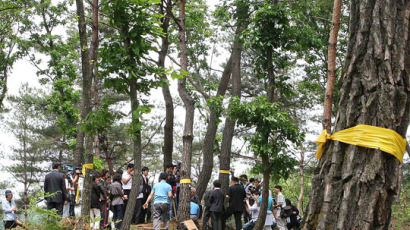 [사진] 국유 수목장림서 첫 장례식