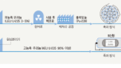 [뉴스 클립] 뉴스 인 뉴스 핵무기 어떻게 만드나