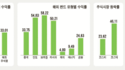 [Cover Story] 펀드 다시 날갯짓 …브라질 58%, 인도 55%, 중소형주 37%