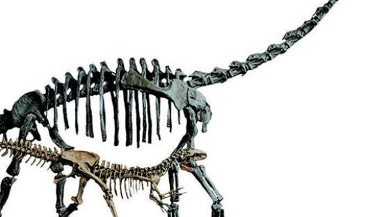 우리박물관 1호 보물 (19) 계룡산자연사박물관 ‘청운이’