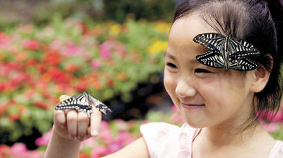 [사진] 세계의 나비 보러 오세요