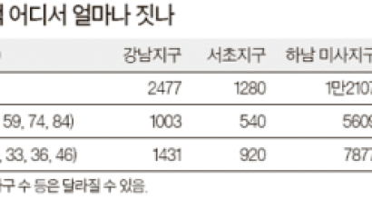 서울 강남권 보금자리주택 3.3㎡당 1200만원대 분양