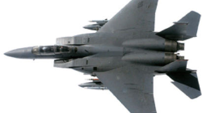 미, 전천후 폭격기 F-15E 한국 배치
