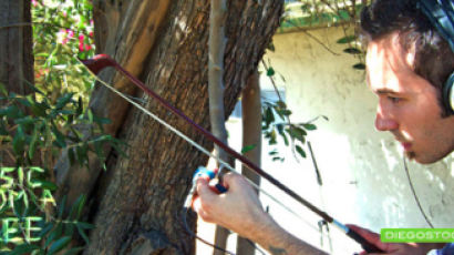 '자연의 하모니' …살아있는 나무 '오케스트라'