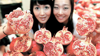 [사진] 미녀가 좋아하는 석류